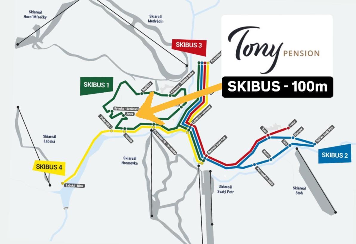 Pension Tony Spindleruv Mlyn Bagian luar foto